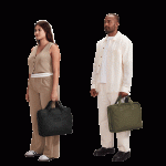 Berlin Travel Brief in Ash